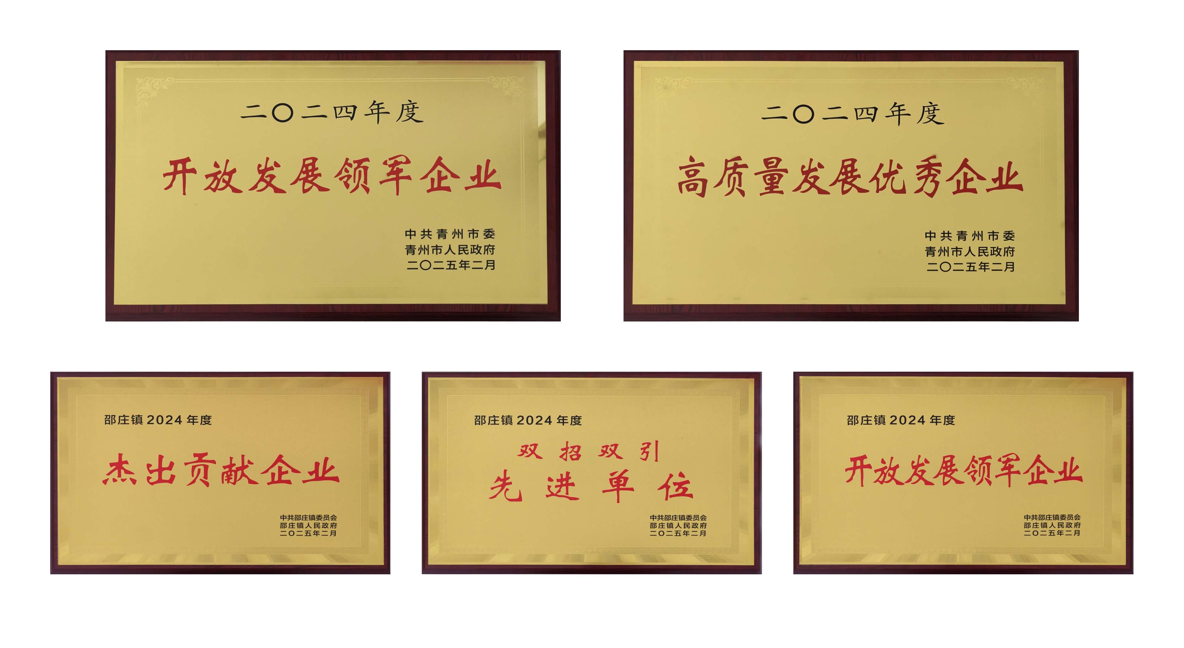 山东1066VIP威尼斯医疗荣获多项殊荣